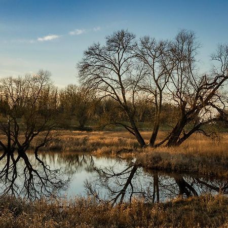 Am Storchennest Daire Damnatz Dış mekan fotoğraf